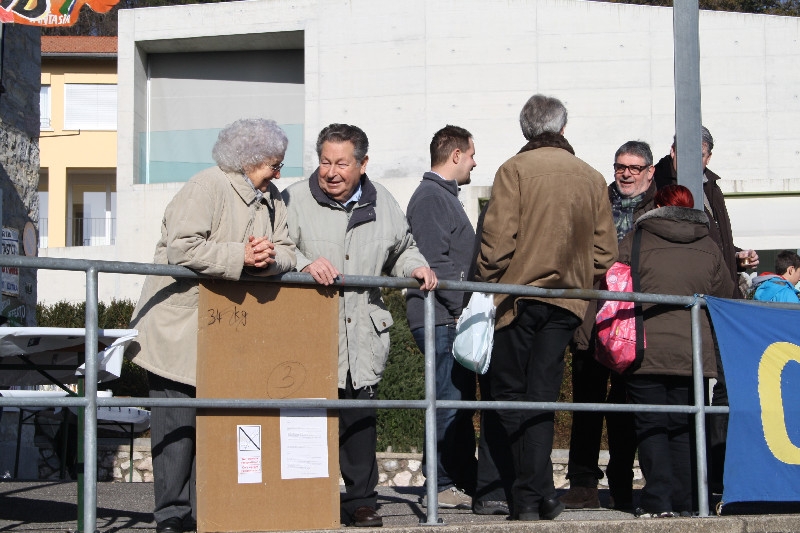 carnevale_tremonese_2013 (167).jpg